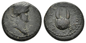 SYRIA. Seleucis and Pieria. Antioch. Pseudo-autonomous issue. Nero (54-68). Ae.

Condition : Good very fine.

Weight : 4.02 gr
Diameter : 16 mm