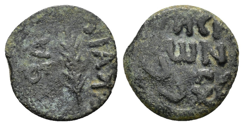 JUDAEA. Procurators. Porcius Festus.(59-62).Jerusalem.Ae.

Condition : Good very...