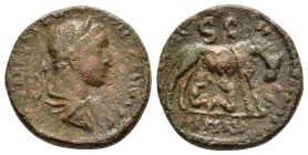 CILICIA. Mallus. Severus Alexander (unpublished for wolf standing right)

Condition : Good very fine.

Weight : 6.9 gr
Diameter : 19 mm