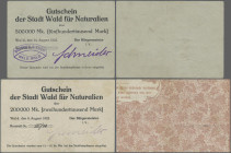 Deutschland - Notgeld - Rheinland: Wald, Stadt, 200 Tsd. Mark, 6.8.1923, mit KN, 500 Tsd. Mark, 15.8.1923, Gutscheine für Naturalien, Erh. III, total ...
