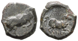 Antike Lots und Sammlungen antiker Münzen
 Apulien, Arpi. 275-250 v. Chr. Schönes Lot bestehend aus zwei Münzen, Av.: Stier nach rechts, Rv.: Pferd n...