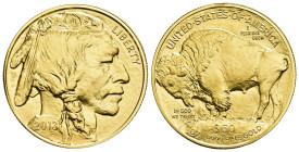 MONEDA EXTRANJERA. ESTADOS UNIDOS DE AMÉRICA. 50 dólares. 2013. 1 onza de oro. 9999. AU 31,17 g. 32,7 mm. SC.