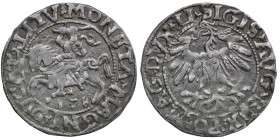 Polish-Lithuanian Commonwealth. Sigismund August of Poland, 1544-1572. AR Half Grosh, struck 1558 (19mm, 0.94g). Knight on horse left / Eagle. Gumowsk...