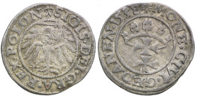 Polish-Lithuanian Commonwealth. Danzig. Sigismund I, 1506-1548. AR Schilling, struck 1538 (19mm, 0.99g). Gumowski 550. Fine.