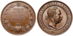 Medal nagrodowy, Krakowska Szkoła Sztuk Pięknych 1898