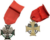 Odznaka pamiątkowa, Związek Towarzystw Powstańców i Wojaków na terenie Dowództwa Okręgu Korpusu VII [229]