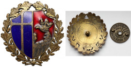 Odznaka, Stowarzyszenie Młodzieży Katolickiej (?)