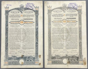 Lwów, Poż. Królestwa Galicyi i Lodomeryi..., Obligacja na 100 kr 1893 - odmiany kolorystyczne
