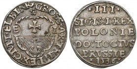 Zygmunt I Stary, Trojak Elbląg 1536 R3