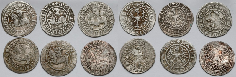 Zygmunt I Stary - Zygmunt II August, Półgrosz Wilno 1509-1561 - zestaw (6szt) 
...