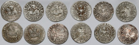 Zygmunt I Stary - Zygmunt II August, Półgrosz Wilno 1509-1561 - zestaw (6szt)