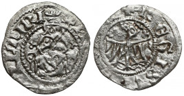 Kazimierz III Wielki, Półgrosz (kwartnik) Kraków - Typ VII R4