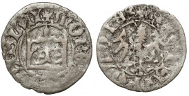 Władysław II Jagiełło, Półgrosz Kraków - typ 12 - błąd POLOIE ER