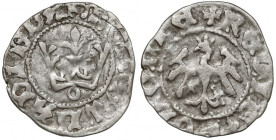 Władysław II Jagiełło, Półgrosz Kraków - typ 16 - znak O BR