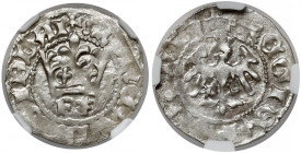 Władysław II Jagiełło, Półgrosz Kraków - typ 17 - litery F‡