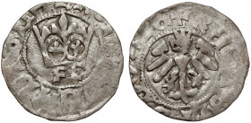 Władysław II Jagiełło, Półgrosz Kraków - typ 17 - znaki F‡