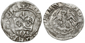 Władysław II Jagiełło, Półgrosz Kraków - typ 19 - znaki W‡