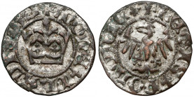 Władysław II Jagiełło, Półgrosz Kraków - FALSYFIKAT z epoki