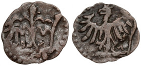 Władysław III Warneńczyk, Denar Kraków - podwójnie uderzony