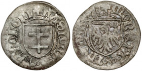 Kazimierz IV Jagiellończyk, Szeląg Toruń