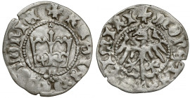 Kazimierz IV Jagiellończyk, Półgrosz Kraków