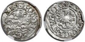 Aleksander Jagiellończyk, Półgrosz Wilno - renesansowy