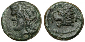 Greece, Thrace / Chersonesus, Pantikapaion, AE19 (310-303 BC)