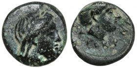 Greece, Autokane, Aeolis (~350 AD) AE8
