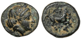 Greece, Troas, Gargara (~IV century BC) AE8