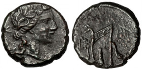 Greece, Bospor, Pantikapaion (79-65 AD) AE26