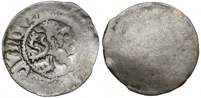 Czechy, Władysław II Jagiellończyk (1471-1516), Halerz jednostronny 
Grade: VF/...