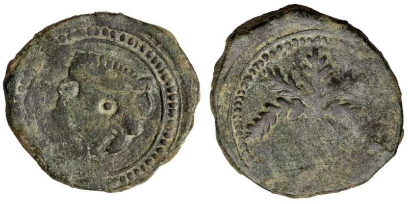 Sycylia, Guglielmo II (1166-1189) Trifollaro Brąz, średnica 26 mm, waga 10,65 g....