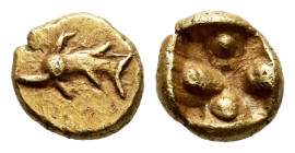 Ionia. Uncertain. 1/96 Stater?. 600-550 BC. (Cf. Rosen-274 (1/12 stater)). Anv.: Dolphin to left. Rev.: Incuse square. Au. 0,56 g. Apparently unpublis...
