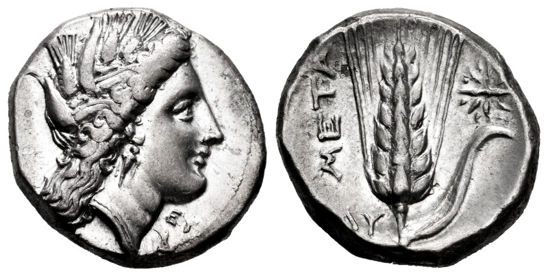 Lucania. Metapontion. Stater. 330-290 BC. Ly-, magistrate. (Johnston Class C, 8....