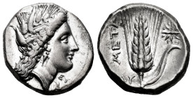 Lucania. Metapontion. Stater. 330-290 BC. Ly-, magistrate. (Johnston Class C, 8.14). (HN Italy-152). Anv.: Wreathed head of Demeter to right, wearing ...