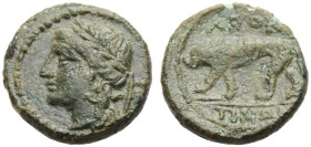 SIZILIEN. LEONTINOI. 
Kleinbronze, nach 214 v. Chr. Kopf des Apollon mit L. n. l. Rv. LEON/ TINWN Löwe n.l. schreitend. 1,78 g. SNG München 584 vgl.,...