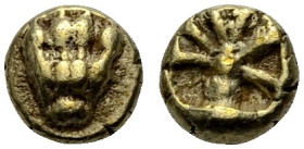 IONIEN. Unbest. Münzstätte. 
1/24 Stater, Elektron, 700-550 v. Chr. Löwenpranke von oben gesehen. Rv. Oktopus. 0,64 g. Rosen Coll. Tf. 13,285. Cf. SN...