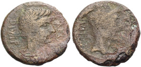IMPERATORISCHE PRÄGUNGEN. 
Octavianus, 44-28 v. Chr. Bronze, 38 v. Chr. Italien? Kopf des Octavianus n. r. mit leichtem Bart, davor, CAESAR, dahinter...