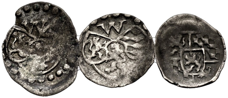 PFALZ-ZWEIBRÜCKEN-VELDENZ, PFALZGRAFSCHAFT. 
WOLFGANG, 1532-1569. Lot: Pfennig,...
