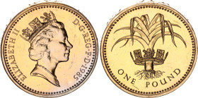 Great Britain 1 Pound 1985
KM# 941, N# 863; Nickel brass, BUNC; Elizabeth II; Royal Diadem series – Wales