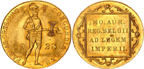 Netherlands 1 Dukat 1928 Flan Defect
KM# 83.1a, N# 95716; Gold (.983) 3.49 g.; Wilhelmina; Utrecht Mint; UNC with full mint luster & minor hairlines