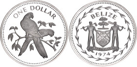 Belize 1 Dollar 1974 FM
KM# 43a, N# 21399; Silver, Proof; Scarlet macaw; Mintage 31000 pcs.; With minor hairlines