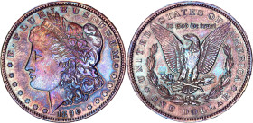 United States 1 Dollar 1890
KM# 110, N# 1492; Silver; "Morgan Dollar"; XF/AUNC with a beautiful artificial patina