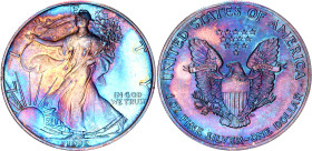 United States 1 Dollar 1992
KM# 273, Schön# 216, N# 1493; Silver; "American Silver Eagle" Bullion Coin; Philadelphia Mint; BUNC with an amazing artif...