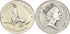 Australia 1 Dollar 1996 C
KM# 297, N# 33466; Silver; Elizabeth II; Silver Kangaroo; Canberra Mint; UNC