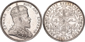Straits Settlements 1 Dollar 1903
KM# 25, N# 15533; Silver; Edward VII; Bombay Mint; AUNC with mint luster