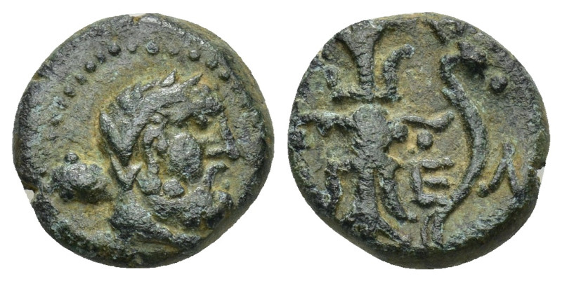 Pisidia, Selge, c. 2nd-1st century BC. AE (3 Gr. 13mm.). 
Head of Herakles right...