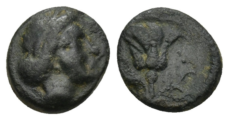 CARIA. Rhodes. AE (Circa 350-300 BC). (1.21 Gr. 11mm.)
Head of Nymph Rhodos righ...