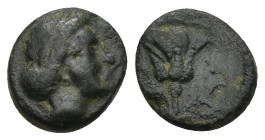 CARIA. Rhodes. AE (Circa 350-300 BC). (1.21 Gr. 11mm.)
Head of Nymph Rhodos right.
 Rev. Rose with bud right; in field left, monogram.