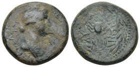 KINGS OF COMMAGENE. Iotape (38-72). AE. (16.92 Gr. 26mm.)
 Diademed and draped bust right.
 Rev. Scorpion within wreath; diadem above.